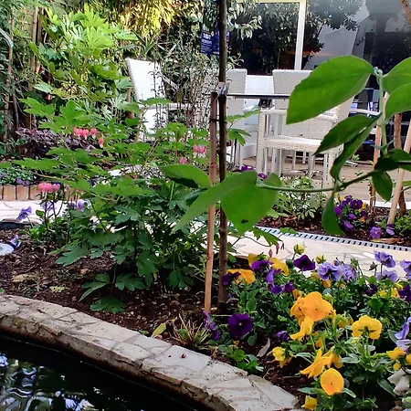 Logis Les Bleuets 酒店 鲁瓦扬