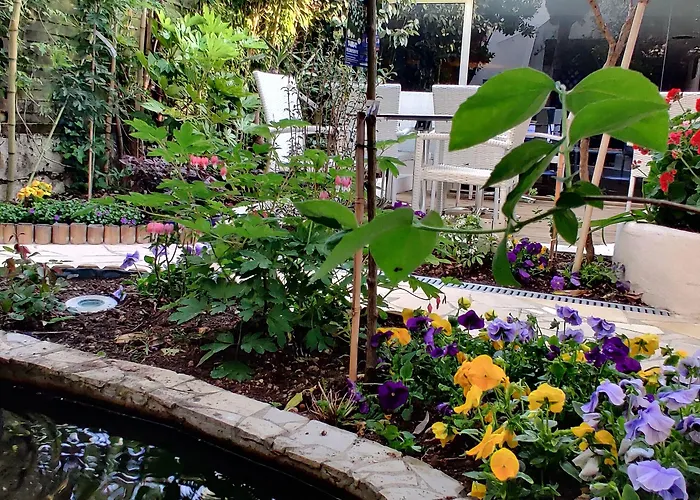 Logis Les Bleuets Otel Royan